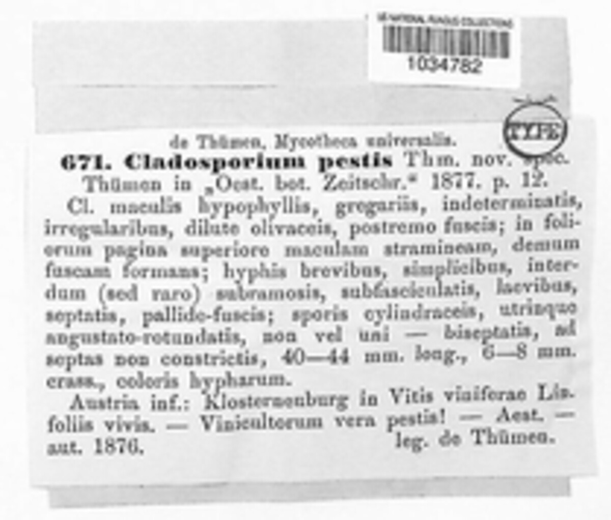 Cladosporium pestis image